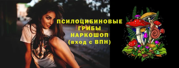 мескалин Новодвинск