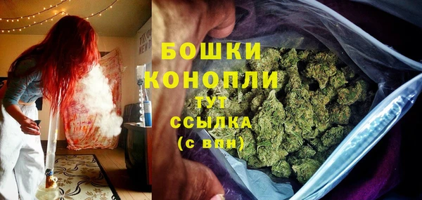 мескалин Новодвинск