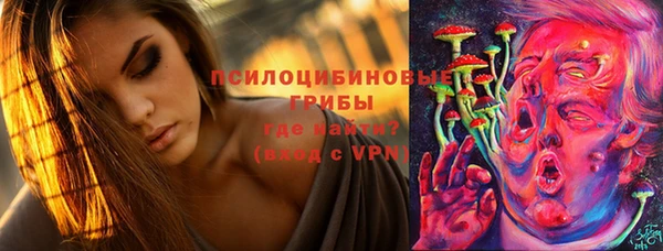 мескалин Новодвинск