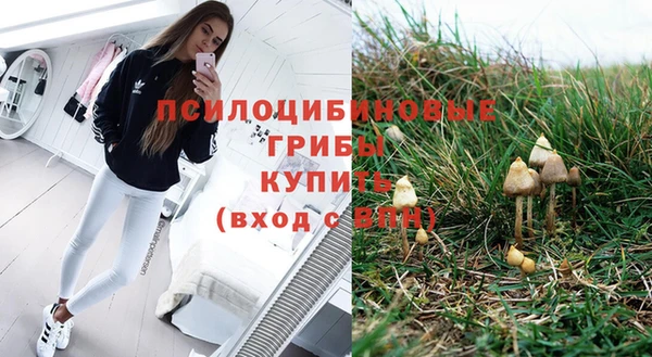 скорость mdpv Новозыбков