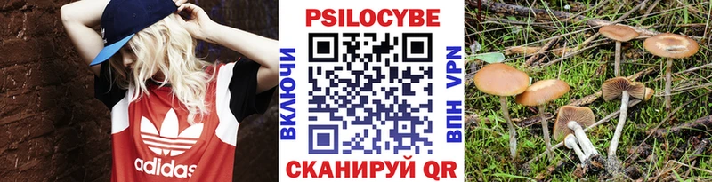 где продают наркотики  Соликамск  Галлюциногенные грибы MAGIC MUSHROOMS 